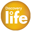DISCOVERY LIFE